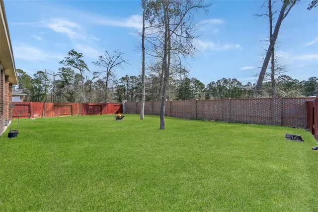 a view of a backyard with a slide
