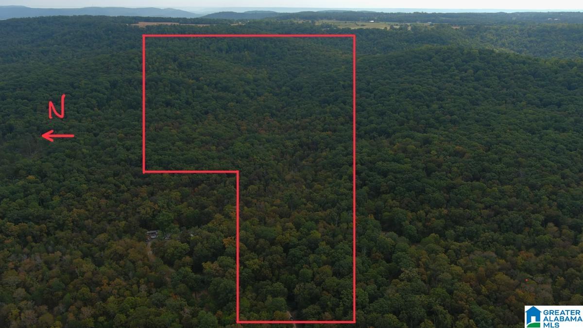 0 Cathedral Caverns Road Woodville, AL 35776 - Photo 11 of 14