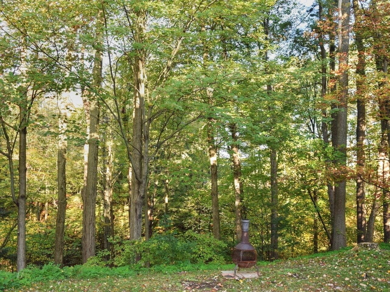 355 Patchen Road, Unit 7 South Burlington, VT 05403 - Photo 26 of 29 Gallery Image 26