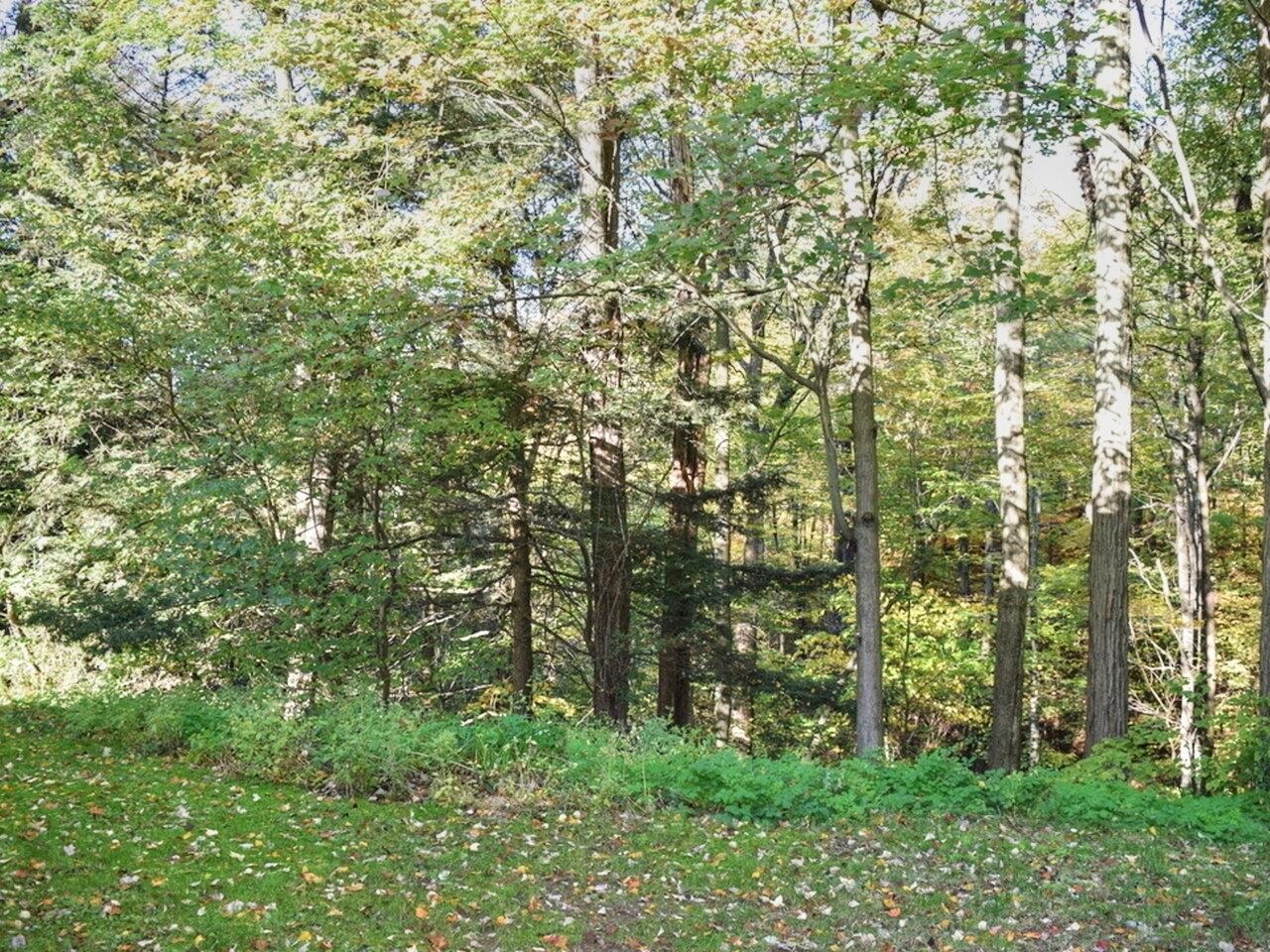 355 Patchen Road, Unit 7 South Burlington, VT 05403 - Photo 27 of 29 Gallery Image 27
