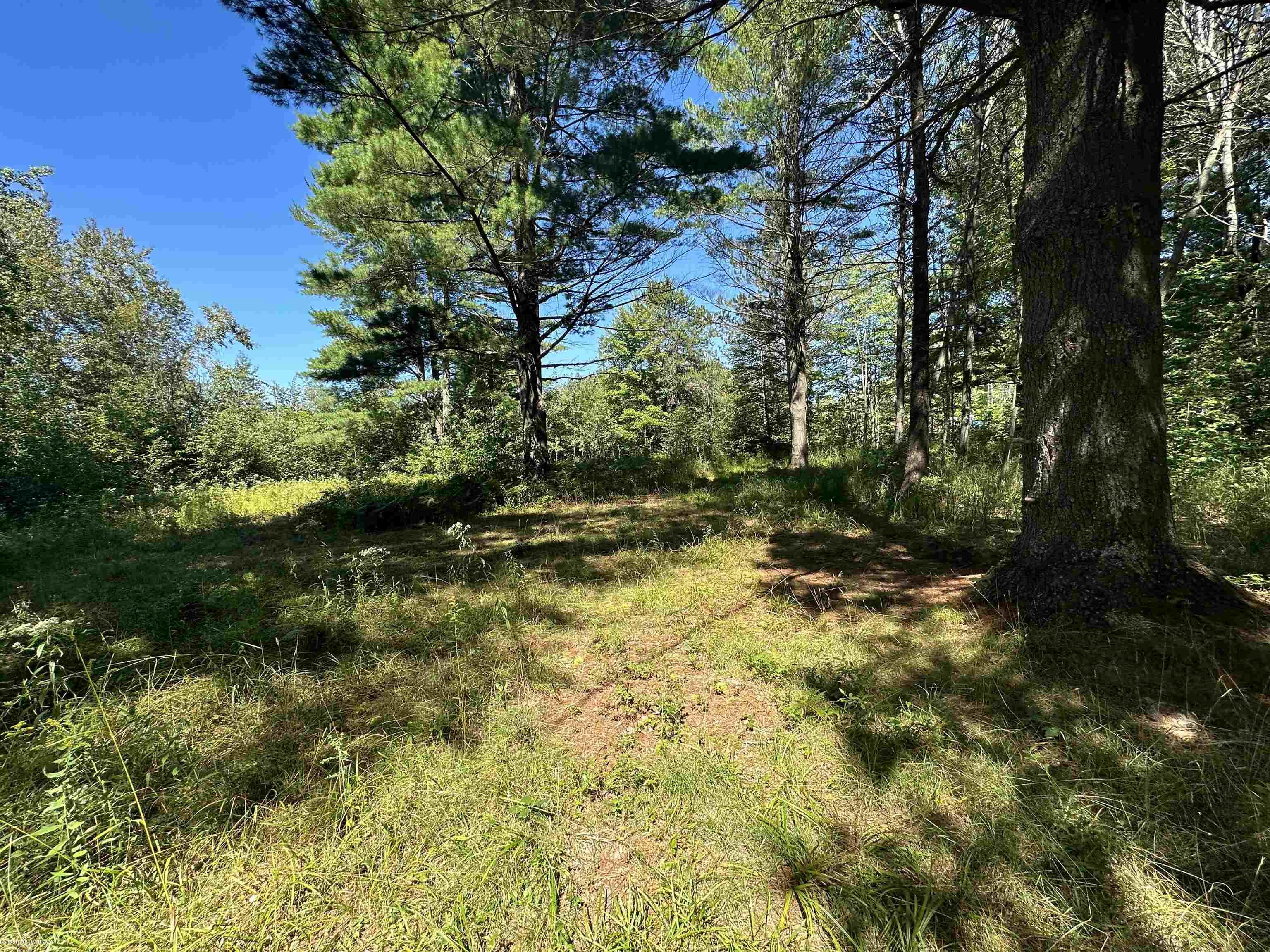 0 Long Lake Road Hale, MI 48739 - Photo 3 of 20