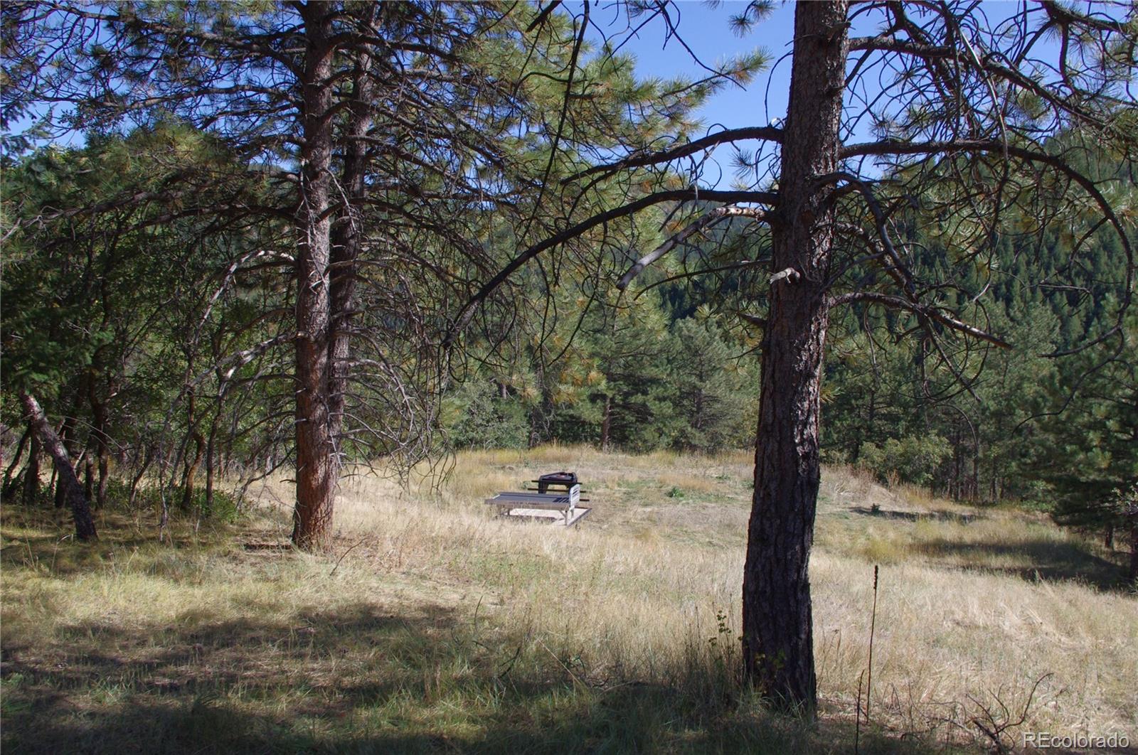 10013 McKinney Road Littleton, CO 80127 - Photo 11 of 25 a view of a forest filled with trees