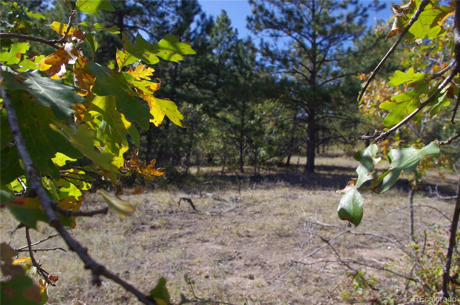 10013 McKinney Road Littleton, CO 80127 - Photo 12 of 25 a view of outdoor space