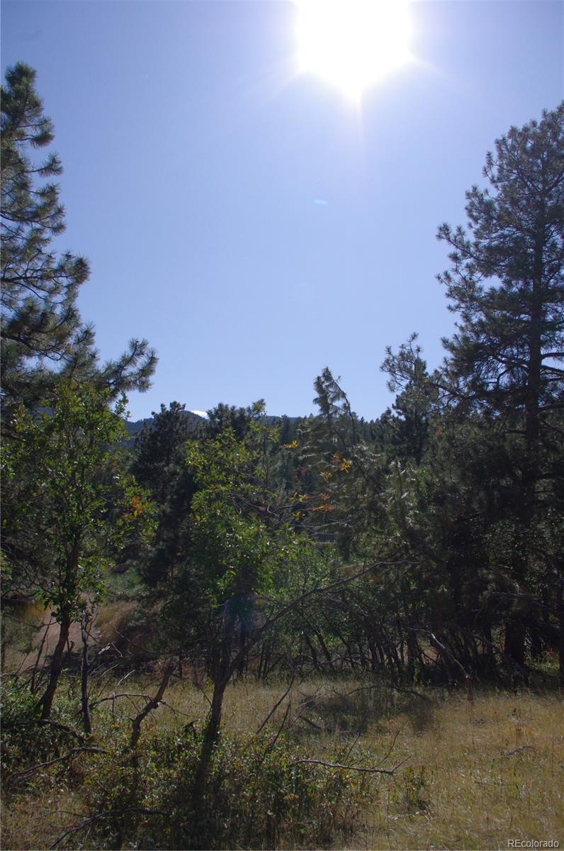 10013 McKinney Road Littleton, CO 80127 - Photo 17 of 25 a view of a lake in middle of forest