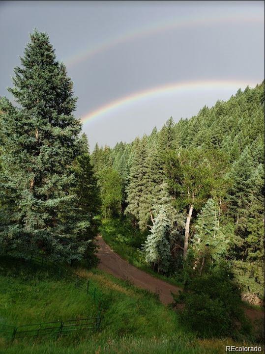 10013 McKinney Road Littleton, CO 80127 - Photo 25 of 25 a view of a yard with plants and a bench