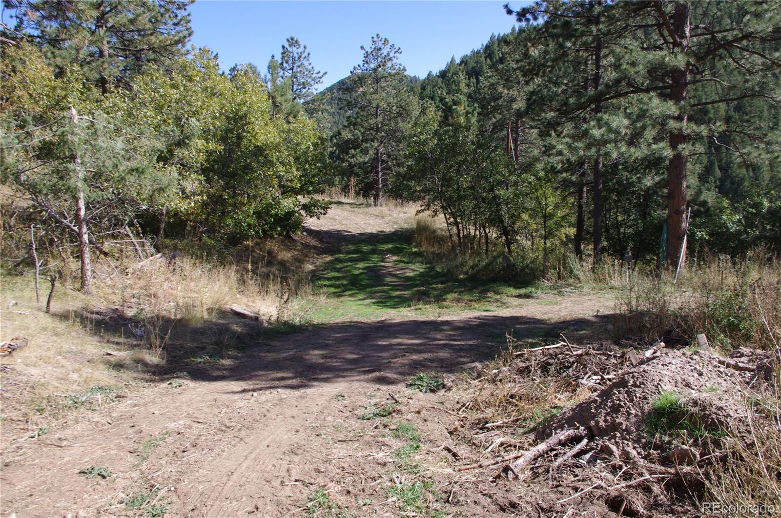 10013 McKinney Road Littleton, CO 80127 - Photo 8 of 25 a view of a tree with a yard