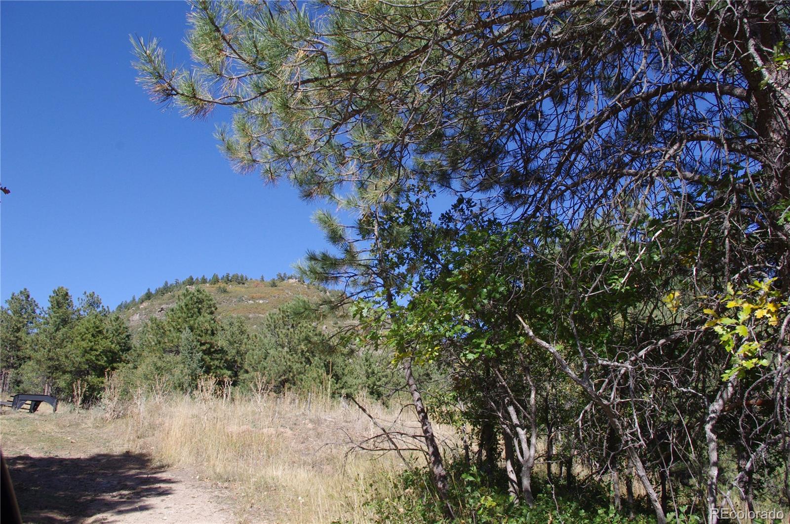 10013 McKinney Road Littleton, CO 80127 - Photo 9 of 25 a view of a tree in a yard