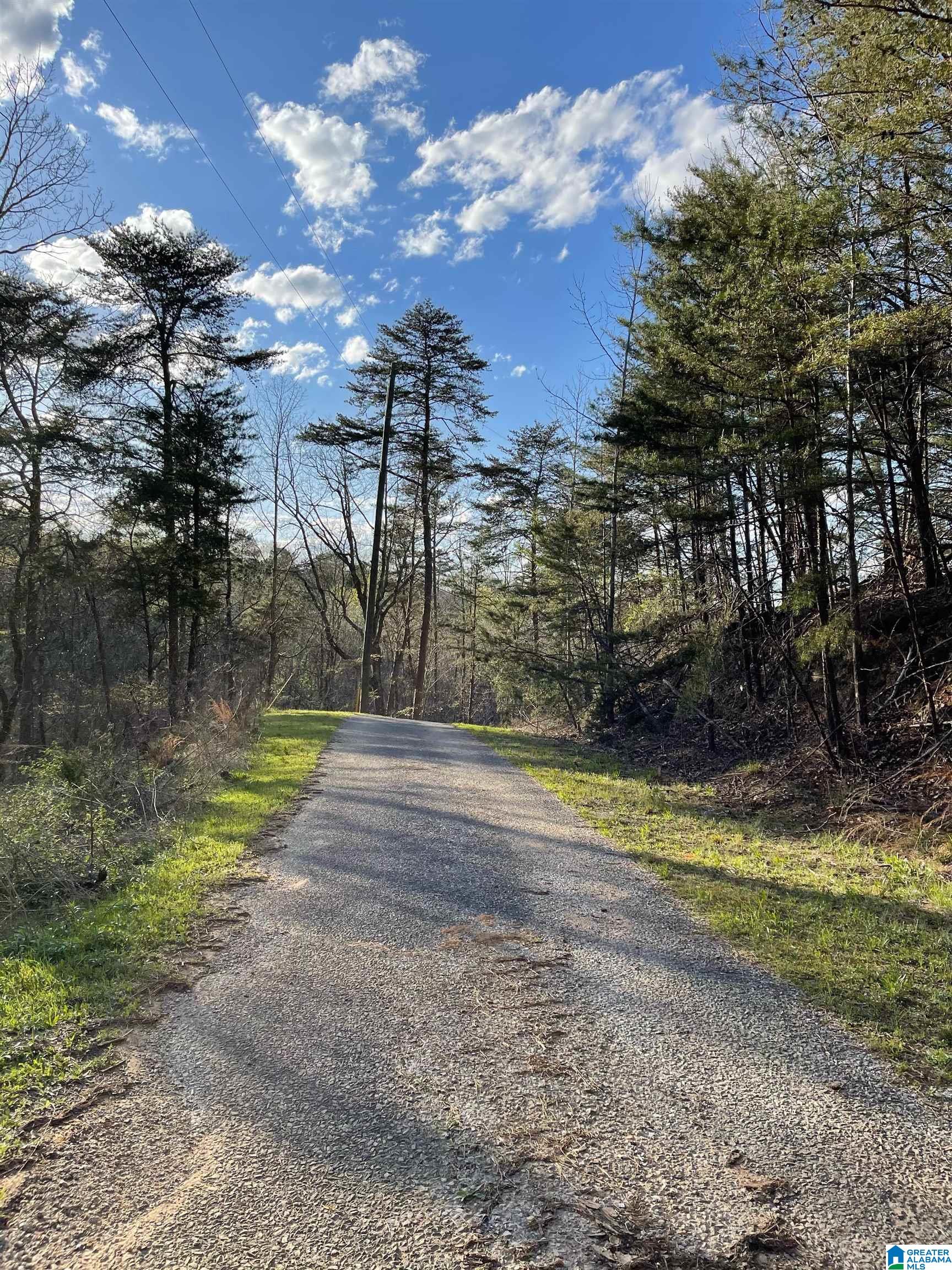 Lot 1 Statum Farm Road, Unit 1 Columbiana, AL 35051 - Photo 12 of 12