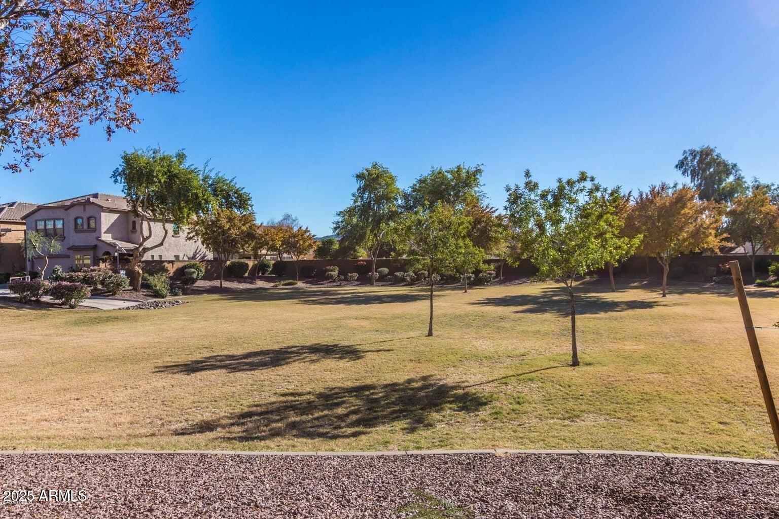 16206 North 22nd Lane Phoenix, AZ 85023 - Photo 26 of 29 a swimming pool with lawn chairs
