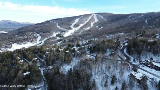 a backyard of a house with lots of trees