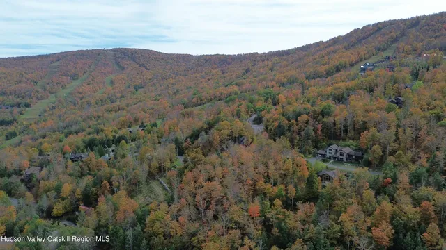 a view of a mountain range with trees in the background