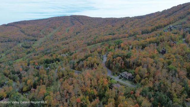 a view of a road from a yard
