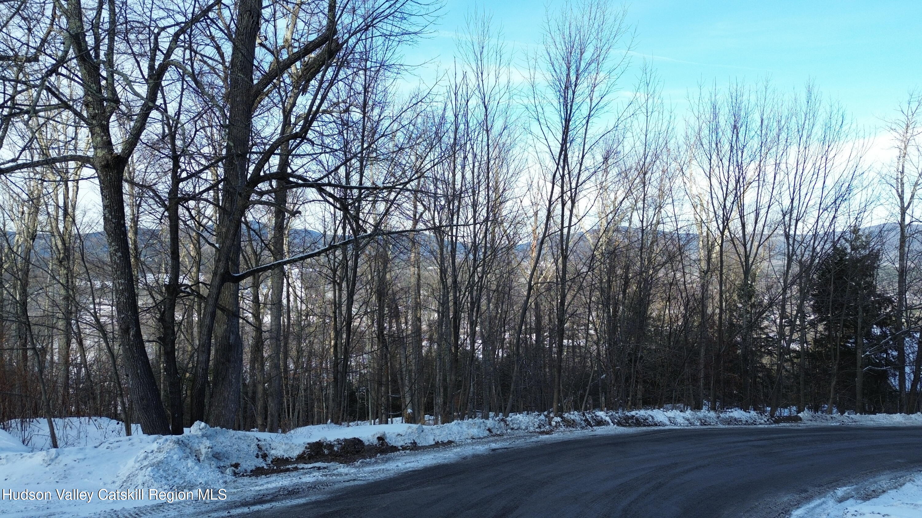 0 Club Road Windham, NY 12496 - Photo 2 of 25 DJI_0725