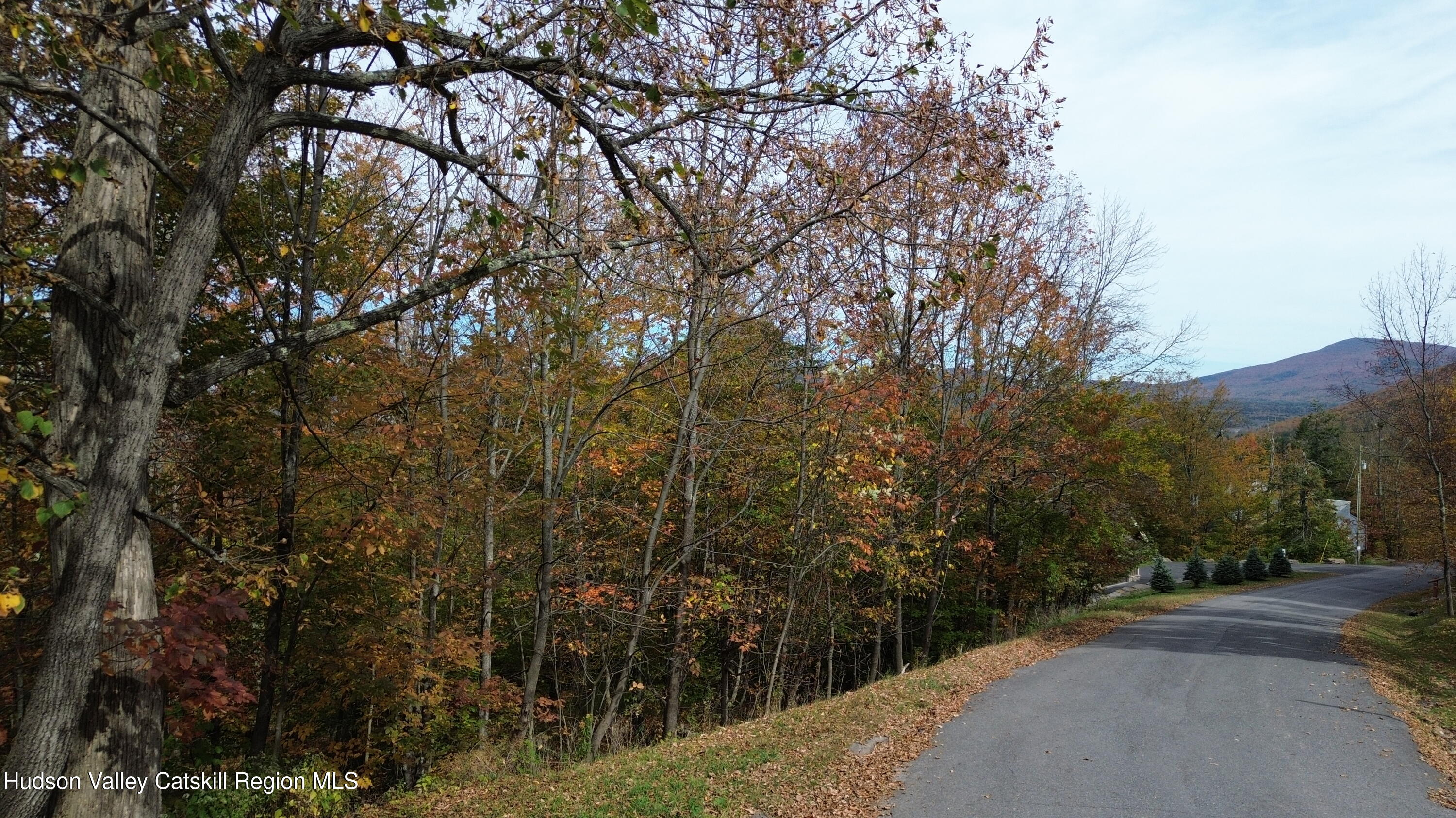 0 Club Road Windham, NY 12496 - Photo 21 of 25 DJI_0592