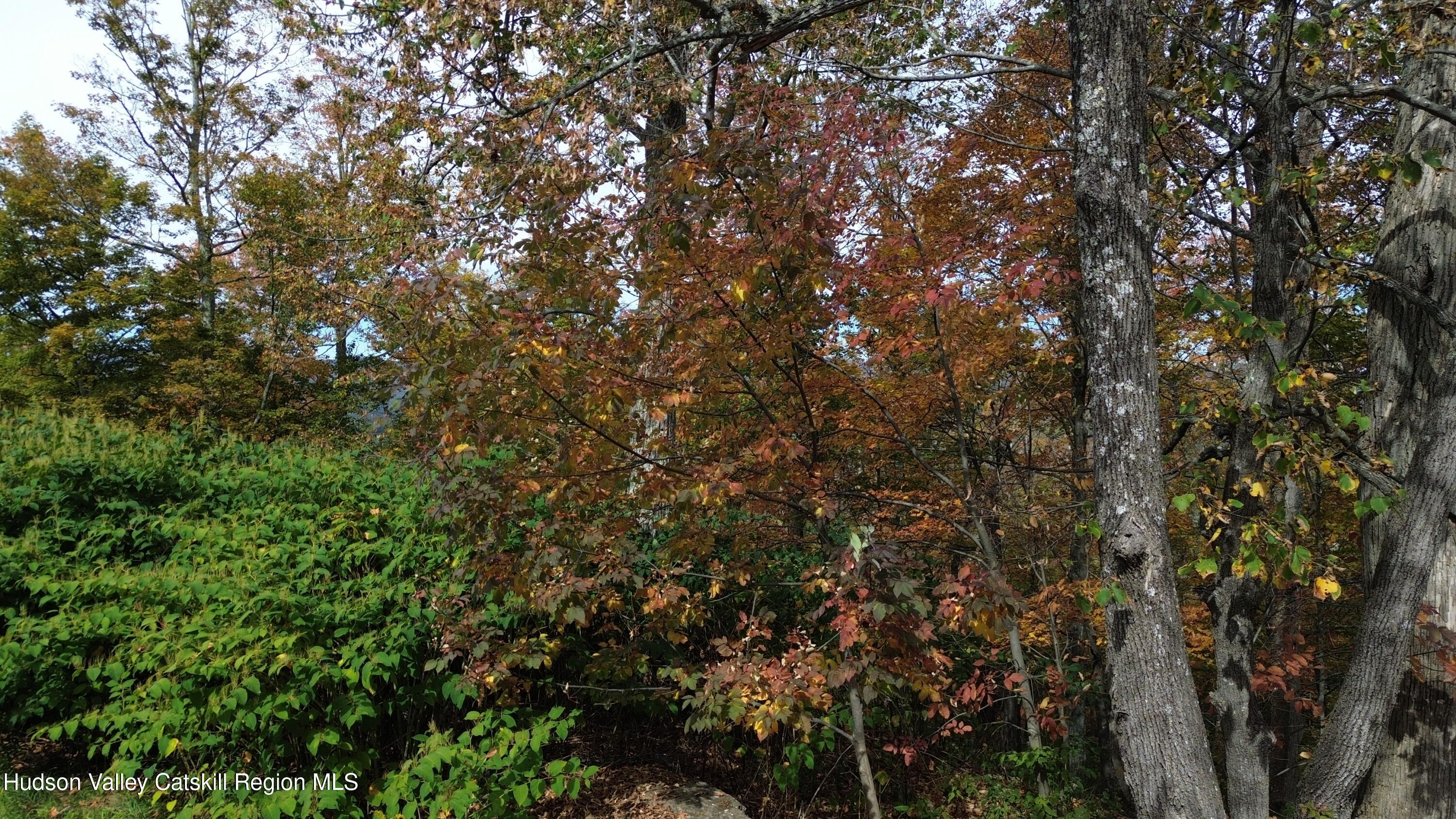 0 Club Road Windham, NY 12496 - Photo 22 of 25 DJI_0593