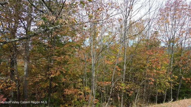 a view of a forest with mountains in the background