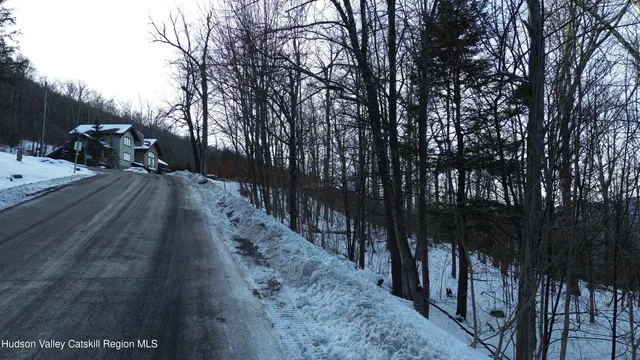 a view of a park with trees