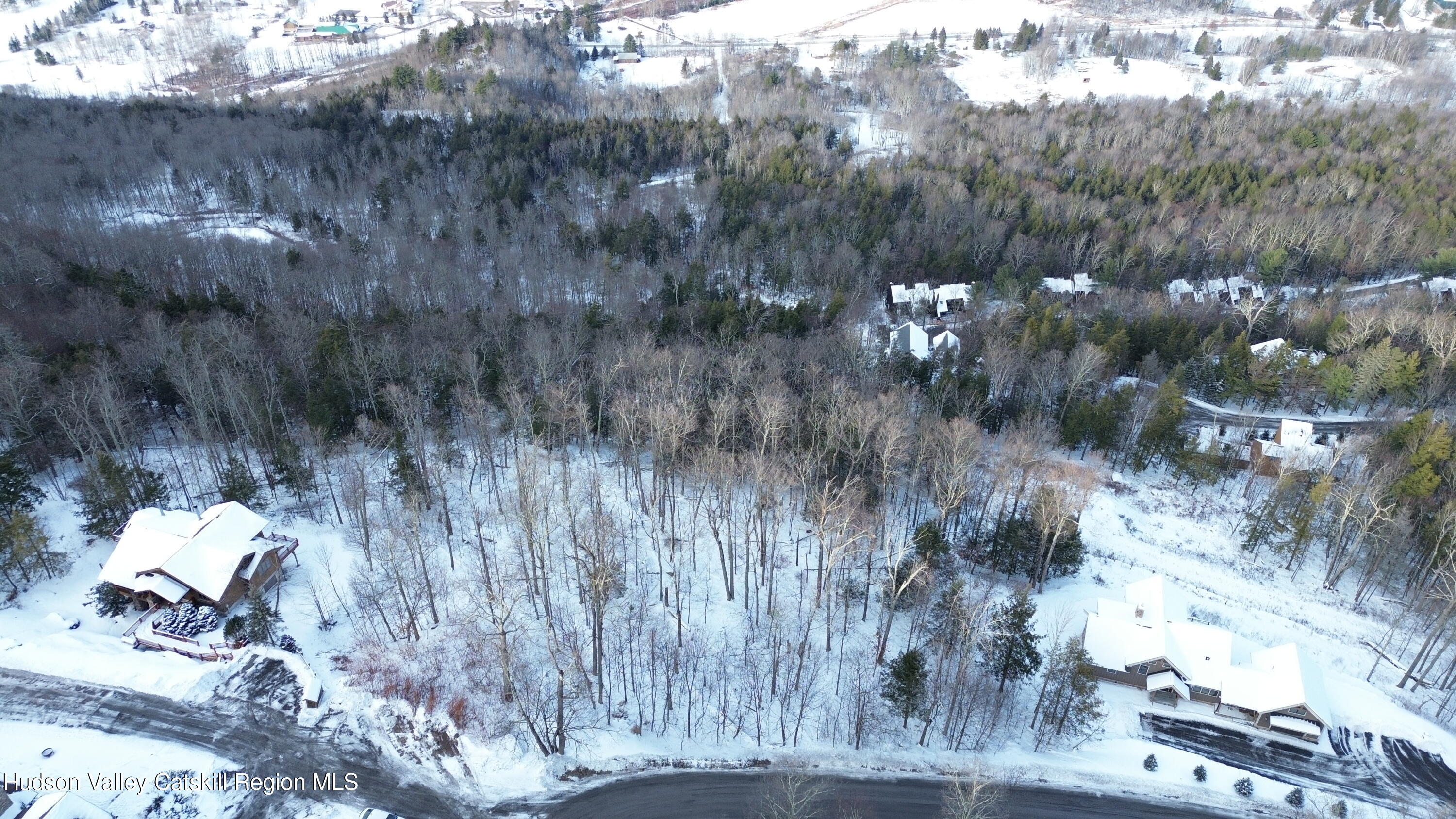 0 Club Road Windham, NY 12496 - Photo 4 of 25 DJI_0734