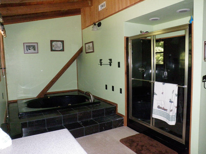 288 Letner Road Helenwood, TN 37755 - Photo 8 of 20 288 Letner Rd. (2)