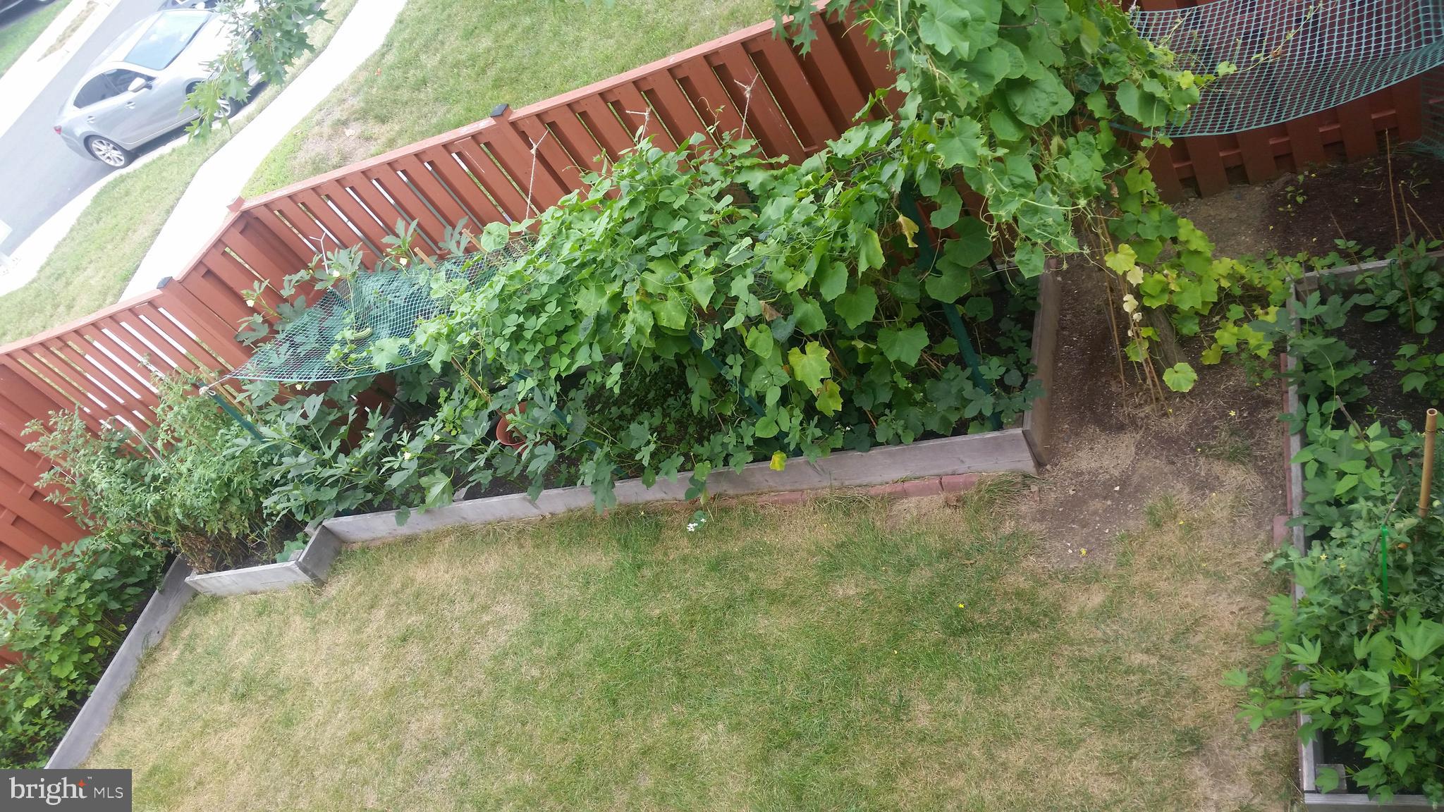 22166 Breitling Terrace Broadlands, VA 20148 - Photo 14 of 56