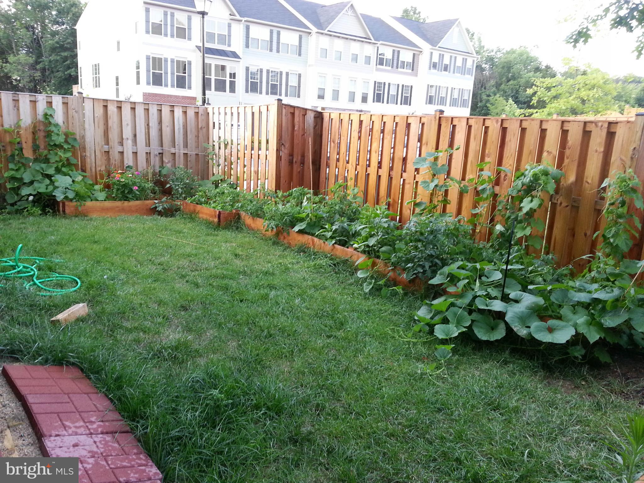 22166 Breitling Terrace Broadlands, VA 20148 - Photo 15 of 56