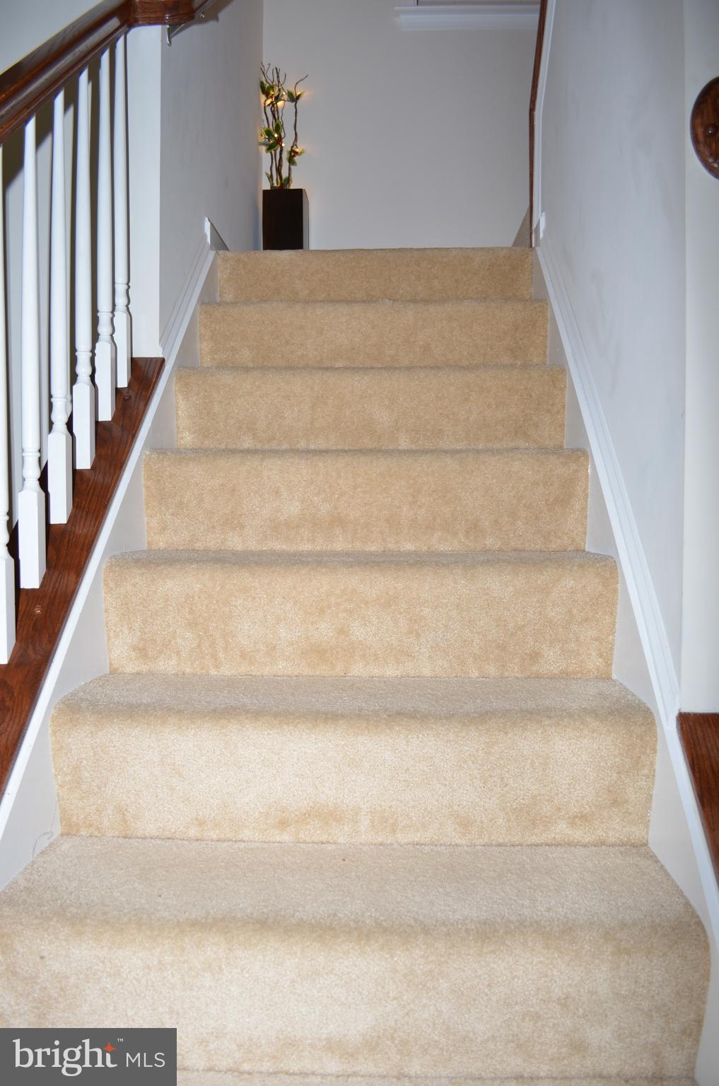 22166 Breitling Terrace Broadlands, VA 20148 - Photo 19 of 56