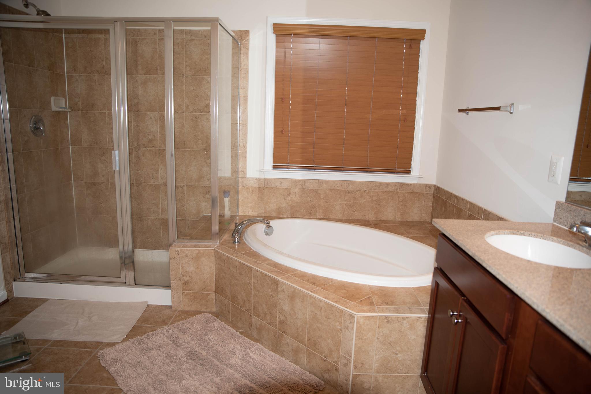 22166 Breitling Terrace Broadlands, VA 20148 - Photo 22 of 56