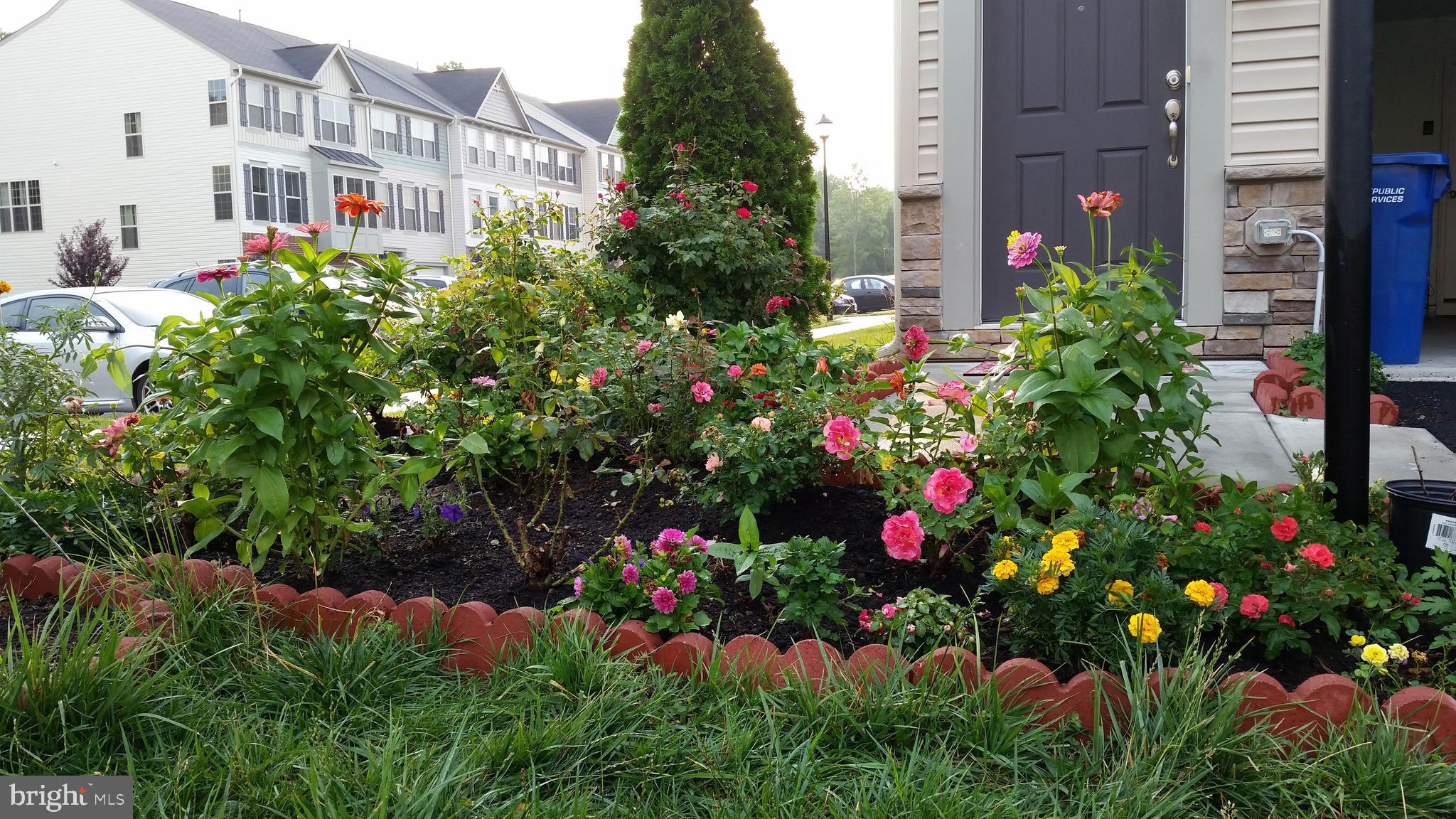 22166 Breitling Terrace Broadlands, VA 20148 - Photo 47 of 56