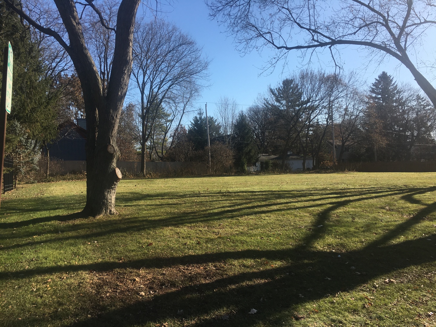 a view of a yard with a house