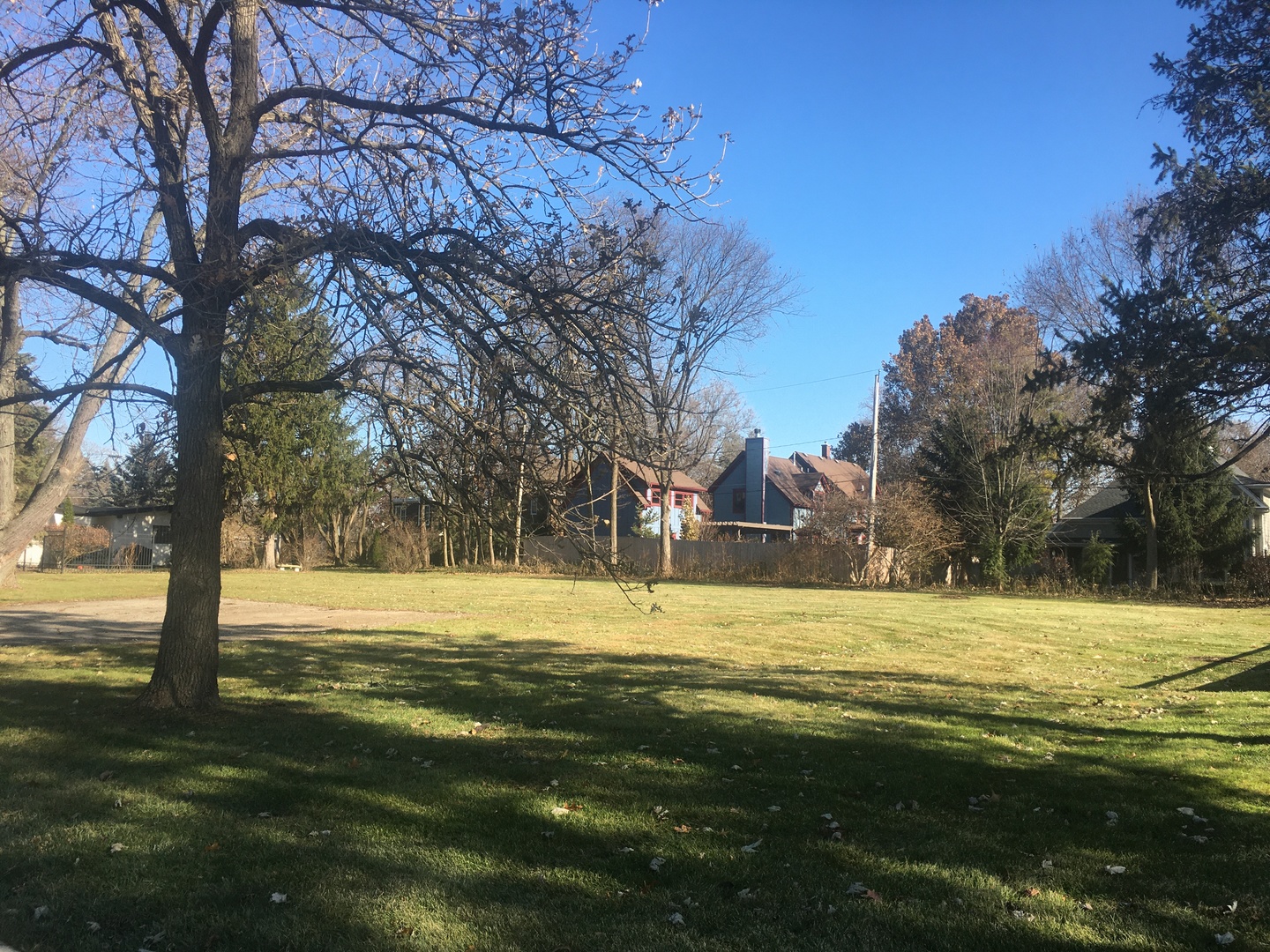715 Meadows Road Geneva, IL 60134 - Photo 2 of 12 a view of a big yard with large trees