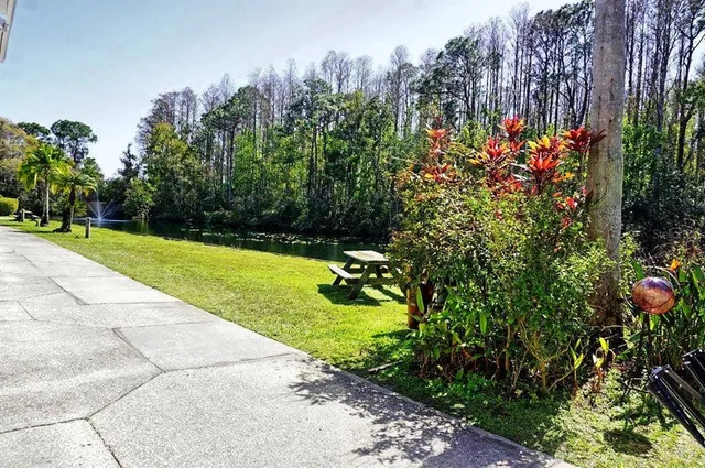 a view of a garden with flowers