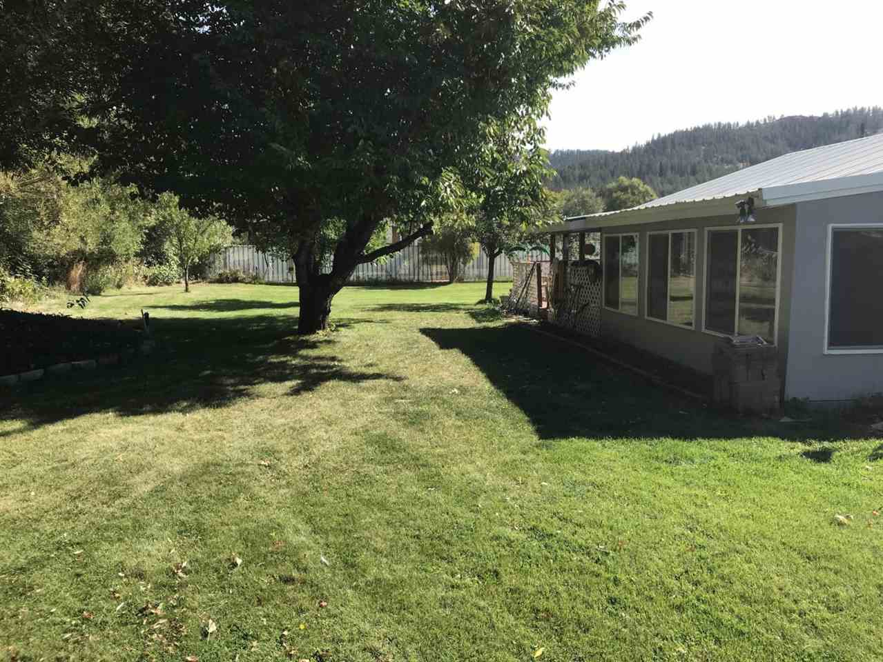 647 Hall Road Colville, WA 99114 - Photo 5 of 20