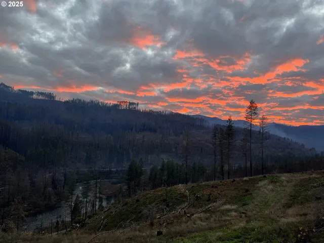 $1,599,000 | 47555 McKenzie Highway, Vida, OR 97488