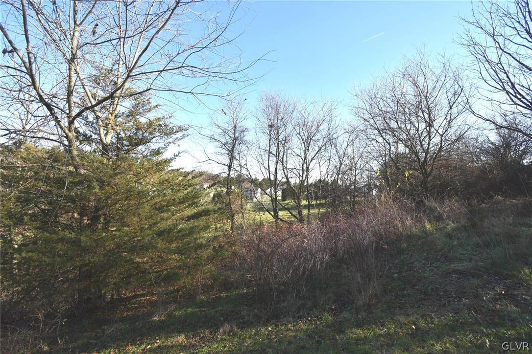 2220 Spring Street Coplay, PA 18037 - Photo 13 of 26 LOT