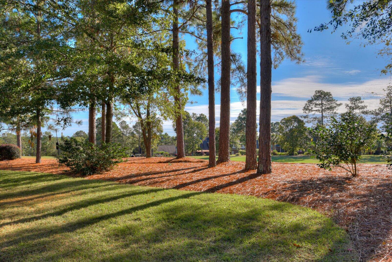175 Red Cedar Road Aiken, SC 29803 - Photo 44 of 53 Gallery Image 44