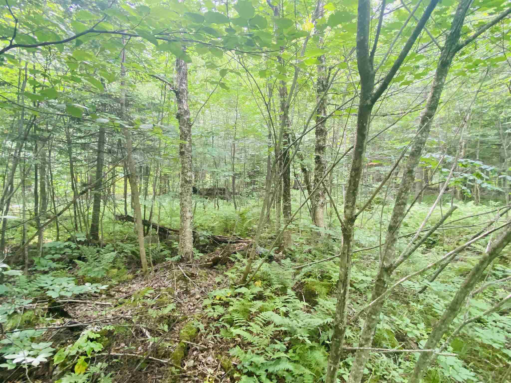 384 Gibbs Road Newport Town, VT 05857 - Photo 29 of 34 Gallery Image 29