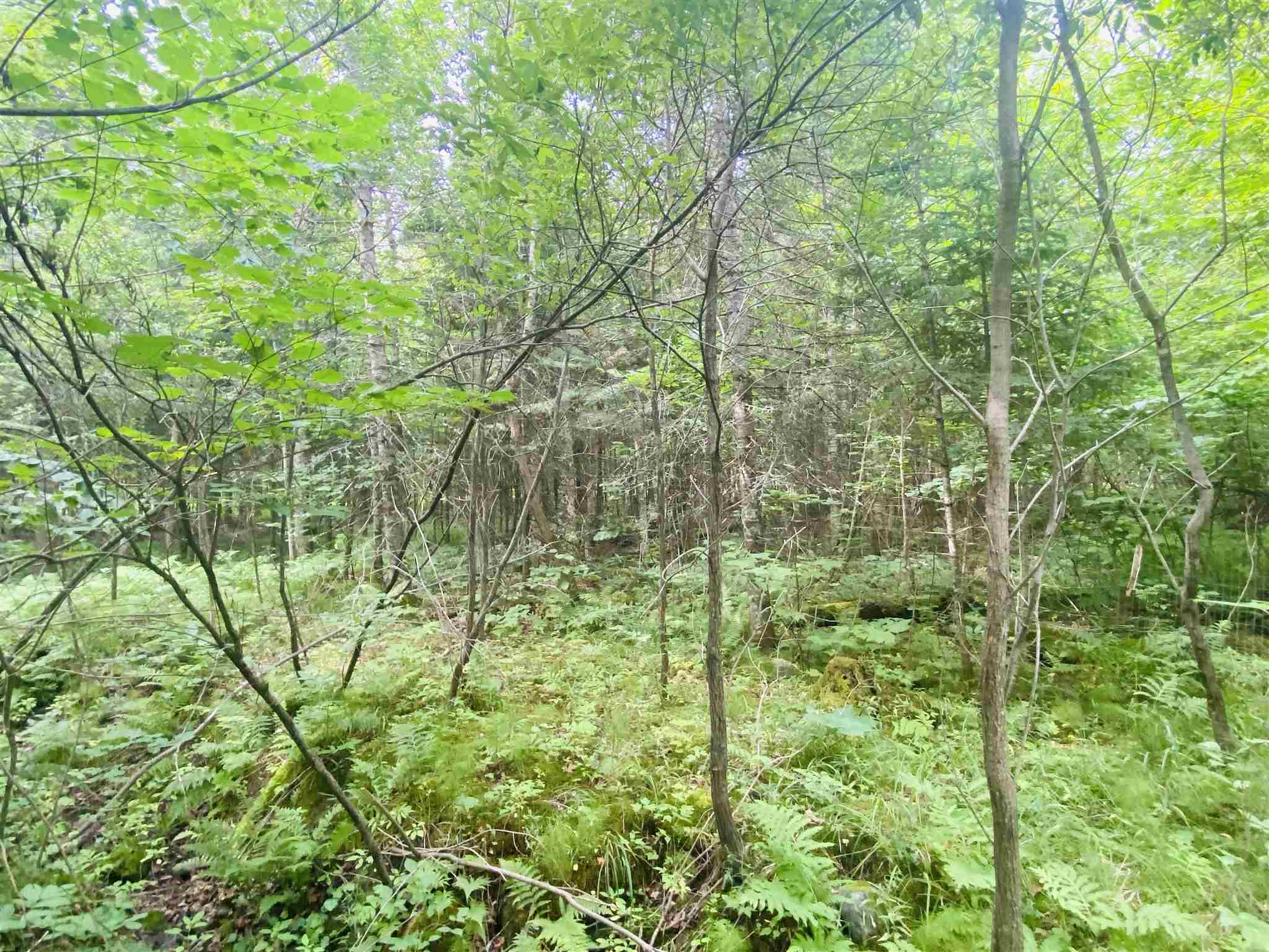 384 Gibbs Road Newport Town, VT 05857 - Photo 30 of 34 Gallery Image 30