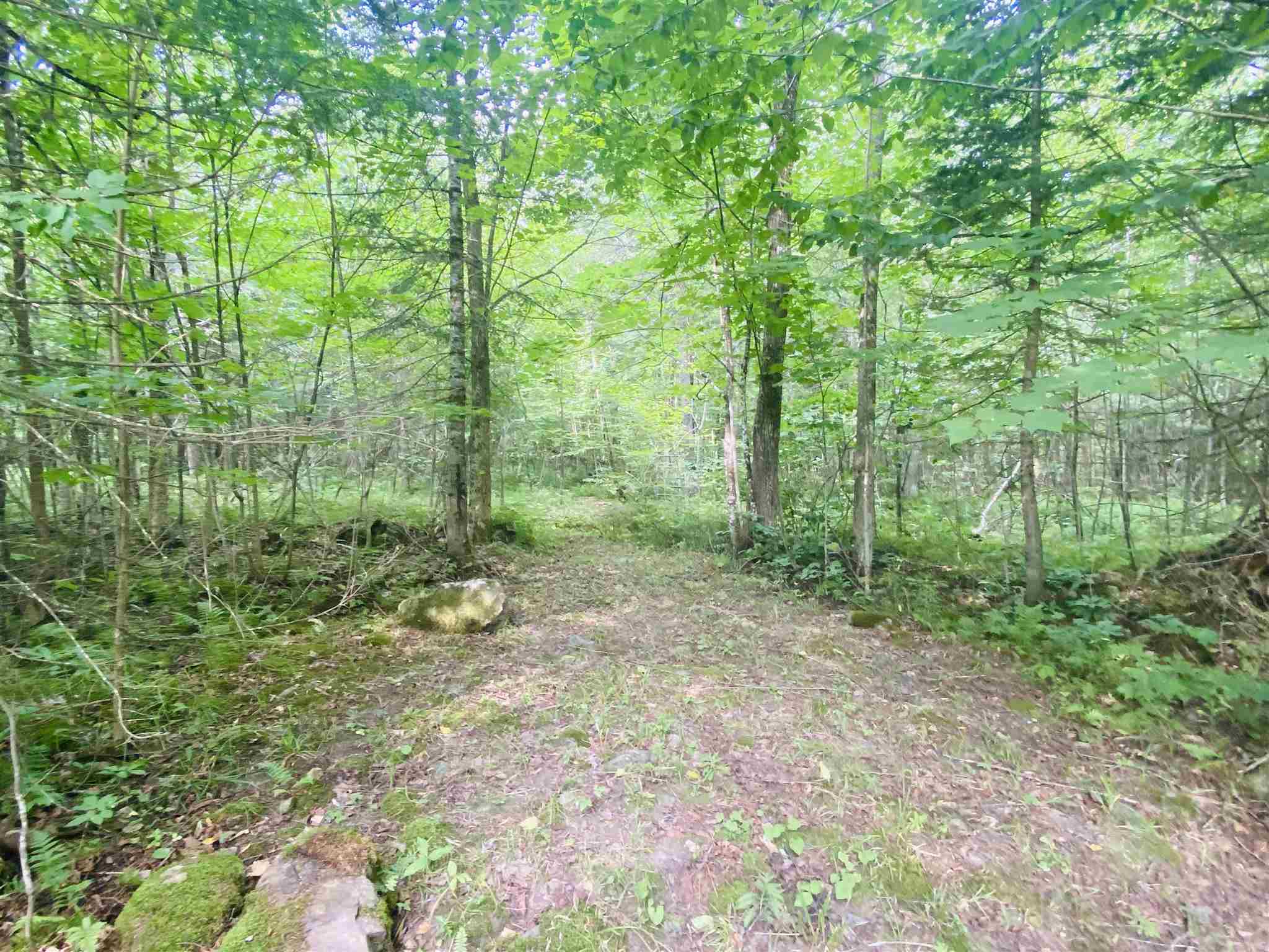 384 Gibbs Road Newport Town, VT 05857 - Photo 31 of 34 Gallery Image 31