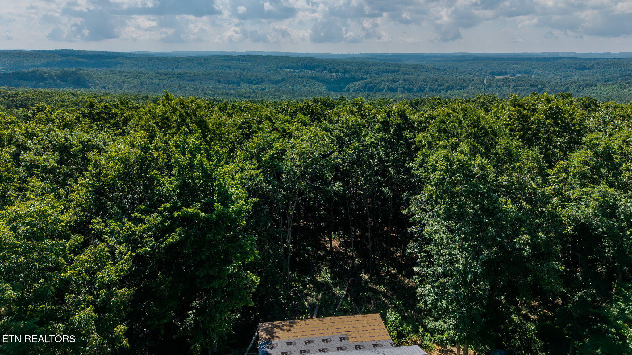 1360 Illuminary Firetower Road, Unit 9 Spring City, TN 37381 - Photo 29 of 30 9-web-or-mls-DJI_20260611105531_0801_D