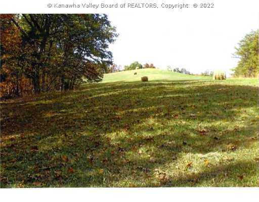 0 Angerona Road Evans, WV 25241 - Photo 7 of 8 Land.