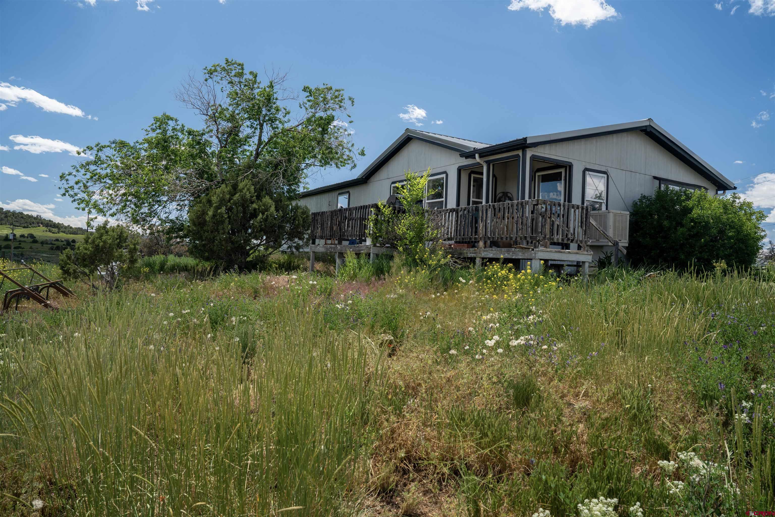 268 County Road Aa42 Norwood, CO 81423 - Photo 1 of 15 a backyard of a house with plants and large tree