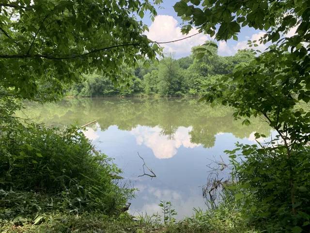 $28,500 | 0 Kennys Bend Lane, Riddleton, TN 37151