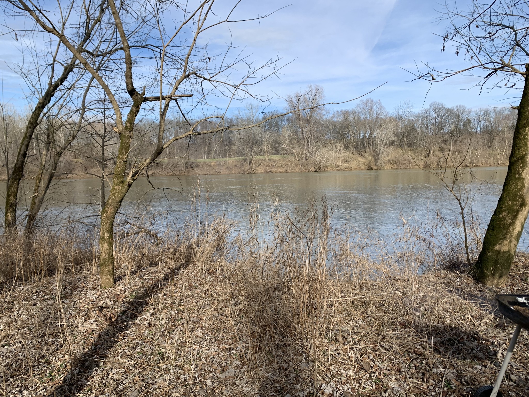 0 Kennys Bend Lane Riddleton, TN 37151 - Photo 11 of 12