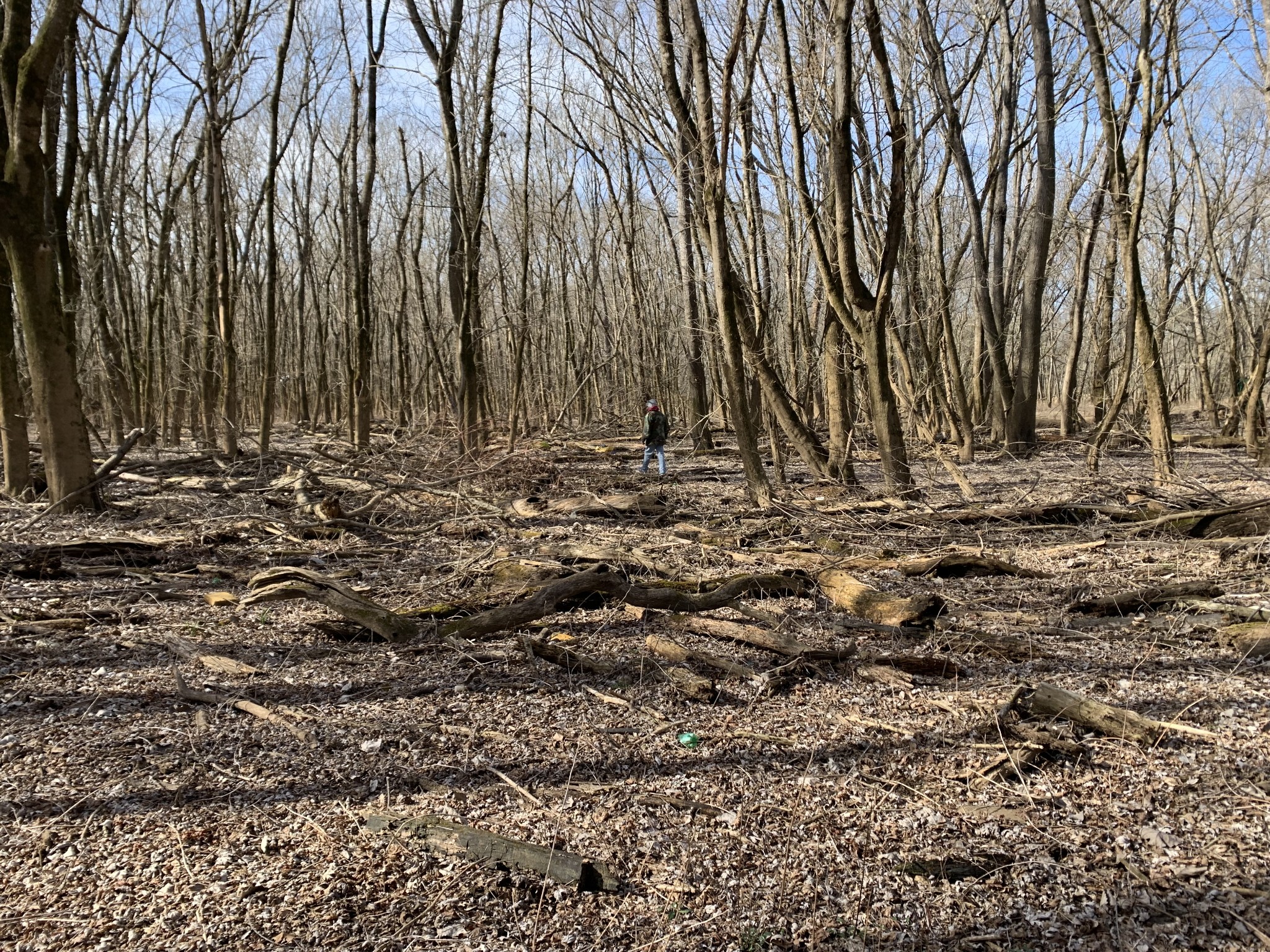 0 Kennys Bend Lane Riddleton, TN 37151 - Photo 4 of 12