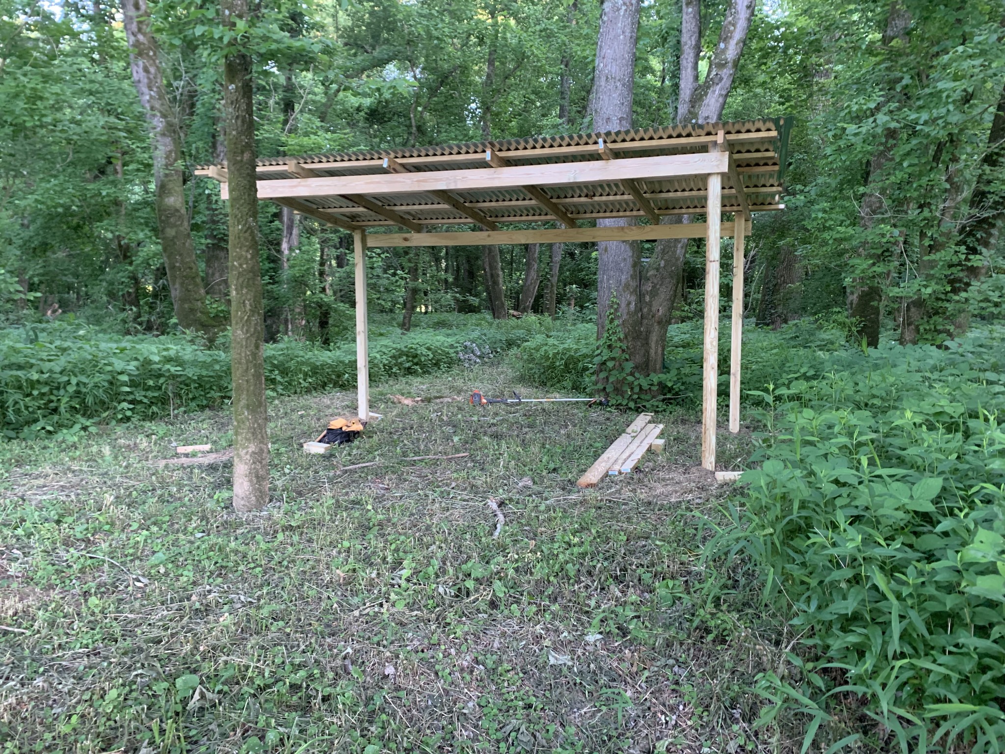 0 Kennys Bend Lane Riddleton, TN 37151 - Photo 5 of 12