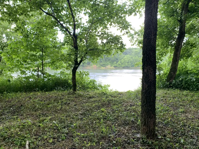 $28,500 | 0 Kennys Bend Lane, Riddleton, TN 37151