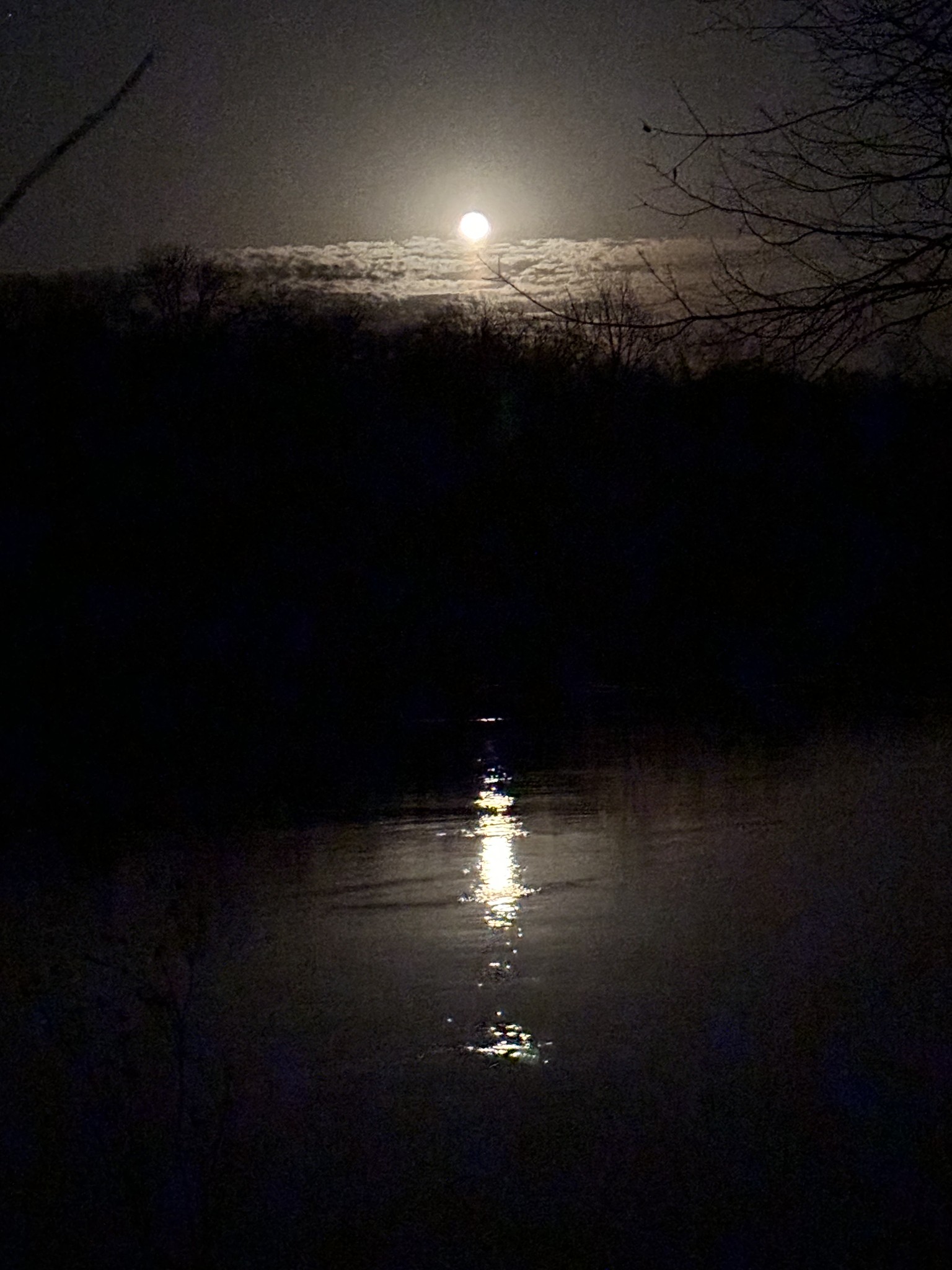 0 Kennys Bend Lane Riddleton, TN 37151 - Photo 7 of 12