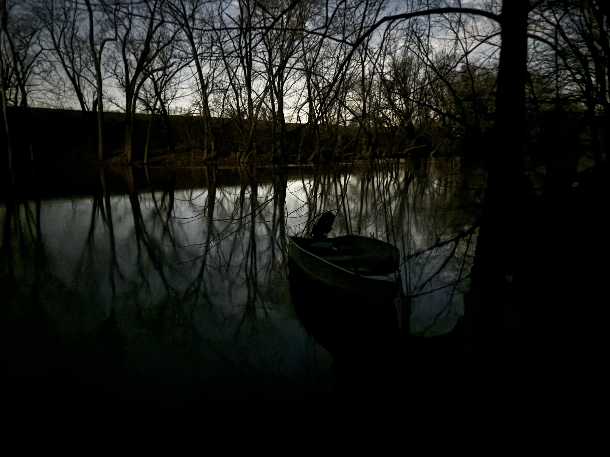 0 Kennys Bend Lane Riddleton, TN 37151 - Photo 9 of 12