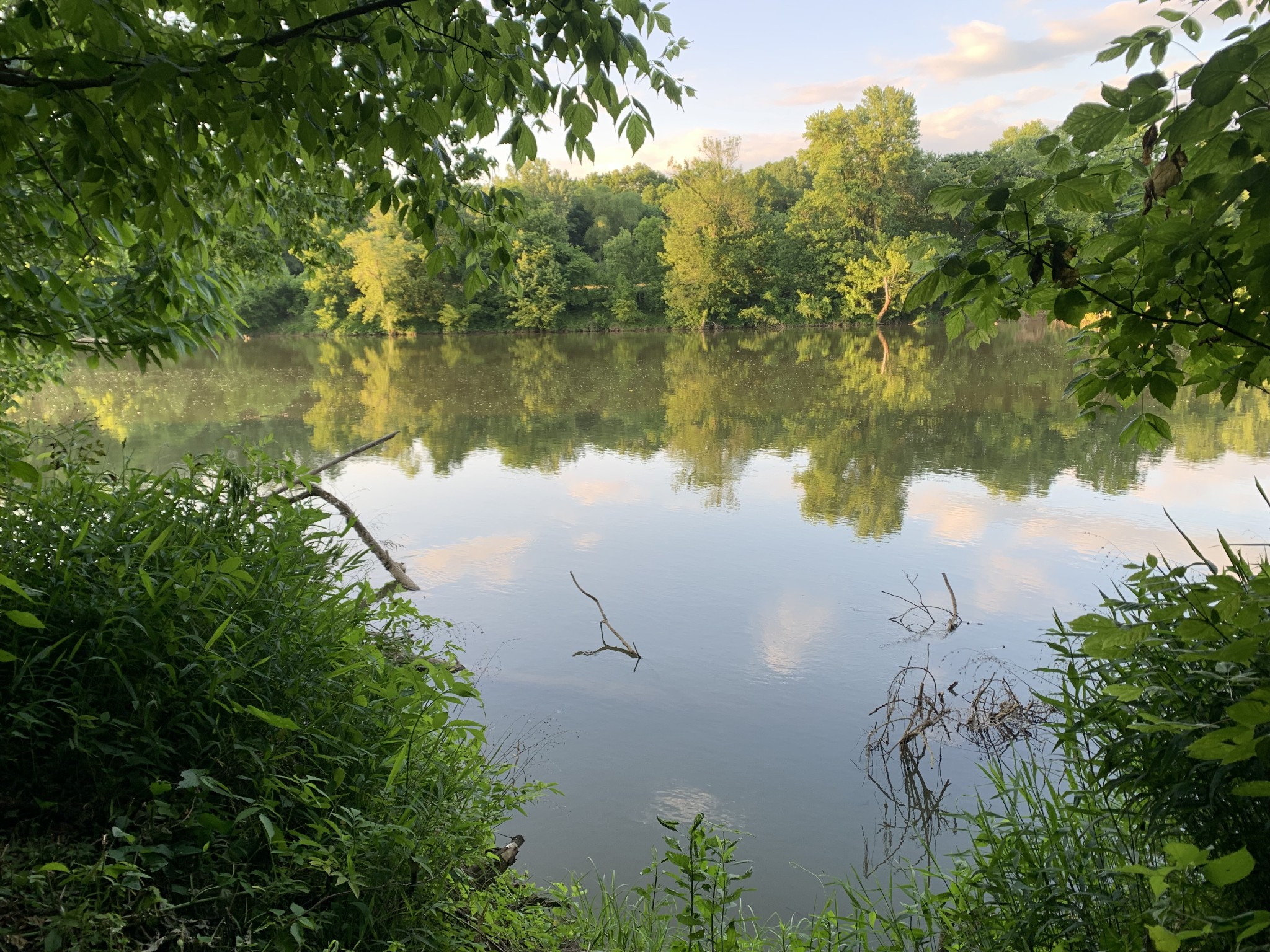 0 Kennys Bend Lane Riddleton, TN 37151 - Photo 10 of 12