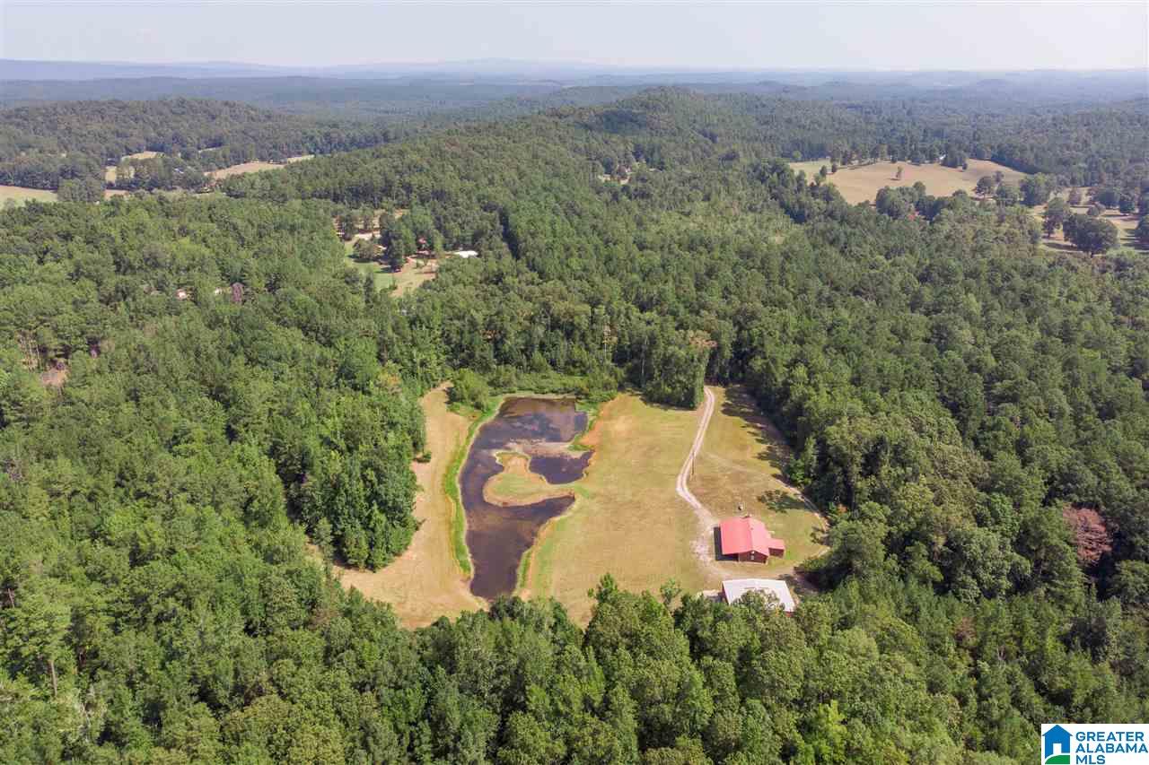 94 Rose Road Vincent, AL 35178 - Photo 36 of 40